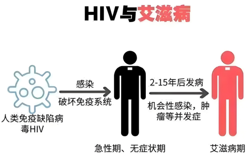 微信圖片_20250116092059.png 微信圖片_20250116092059.png