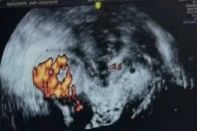 微信圖片_20250716094505.jpg 微信圖片_20250716094505.jpg